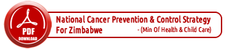 National Cancer Prevention and Control Strategy Doc