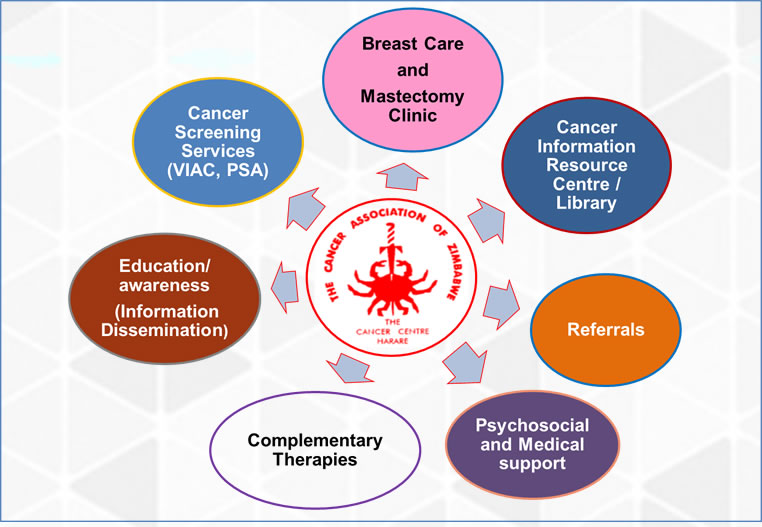Harare Cancer Society Service Structure